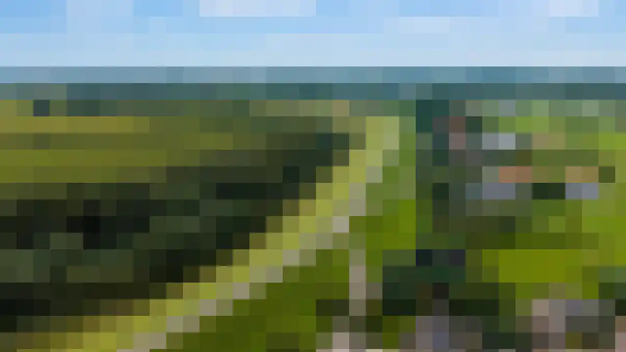 Rijndijk 43 a Doornenburg thumbnail 71