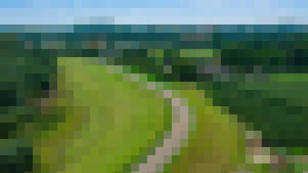 Rijndijk 43 a Doornenburg thumbnail 72