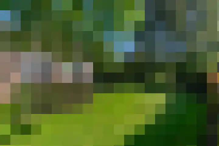 Rijndijk 43 a Doornenburg thumbnail 75
