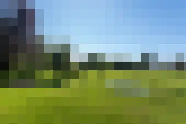Rijndijk 43 a Doornenburg thumbnail 77