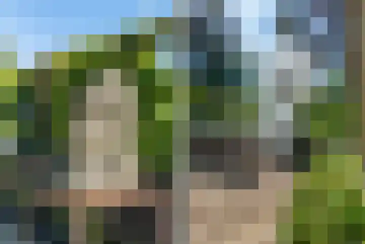 Rijndijk 43 a Doornenburg thumbnail 79