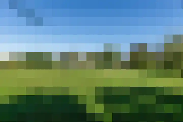 Rijndijk 43 a Doornenburg thumbnail 94