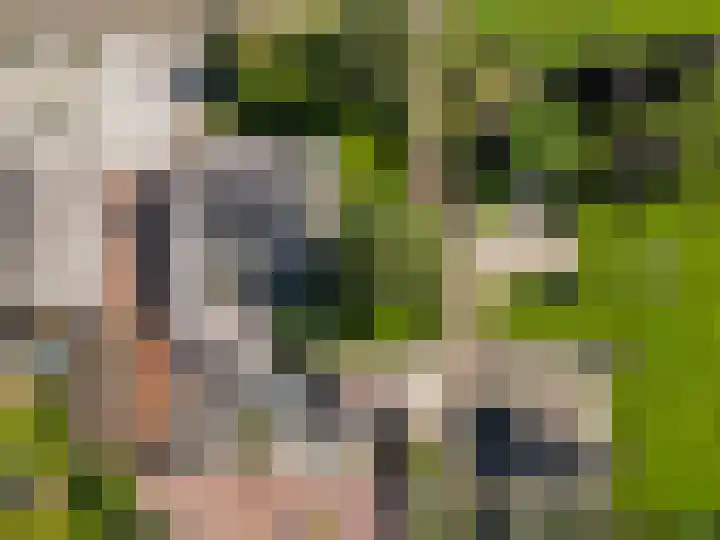 Rijndijk 43 a Doornenburg thumbnail 97