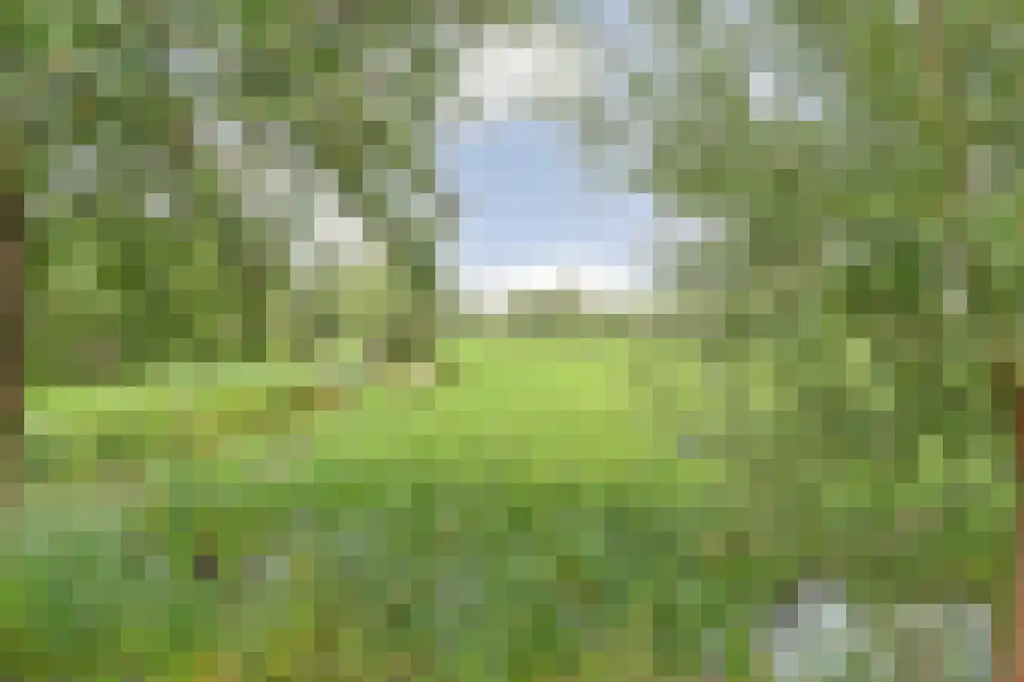 Rijndijk 5 B Hazerswoude-Rijndijk thumbnail 40