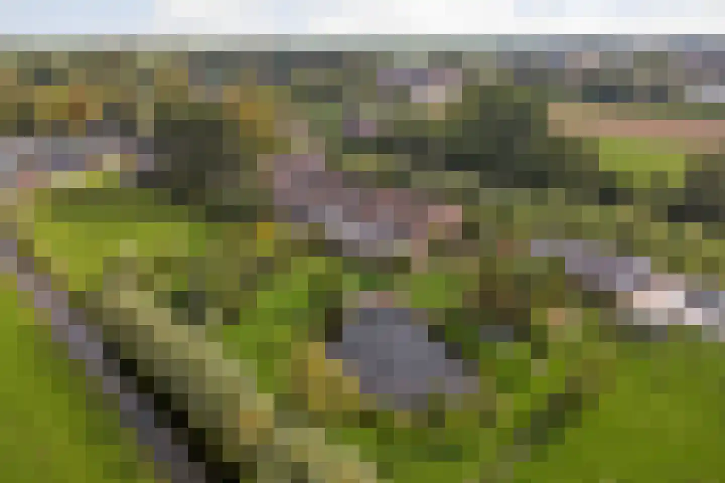 Rijndijk 5 B Hazerswoude-Rijndijk thumbnail 47