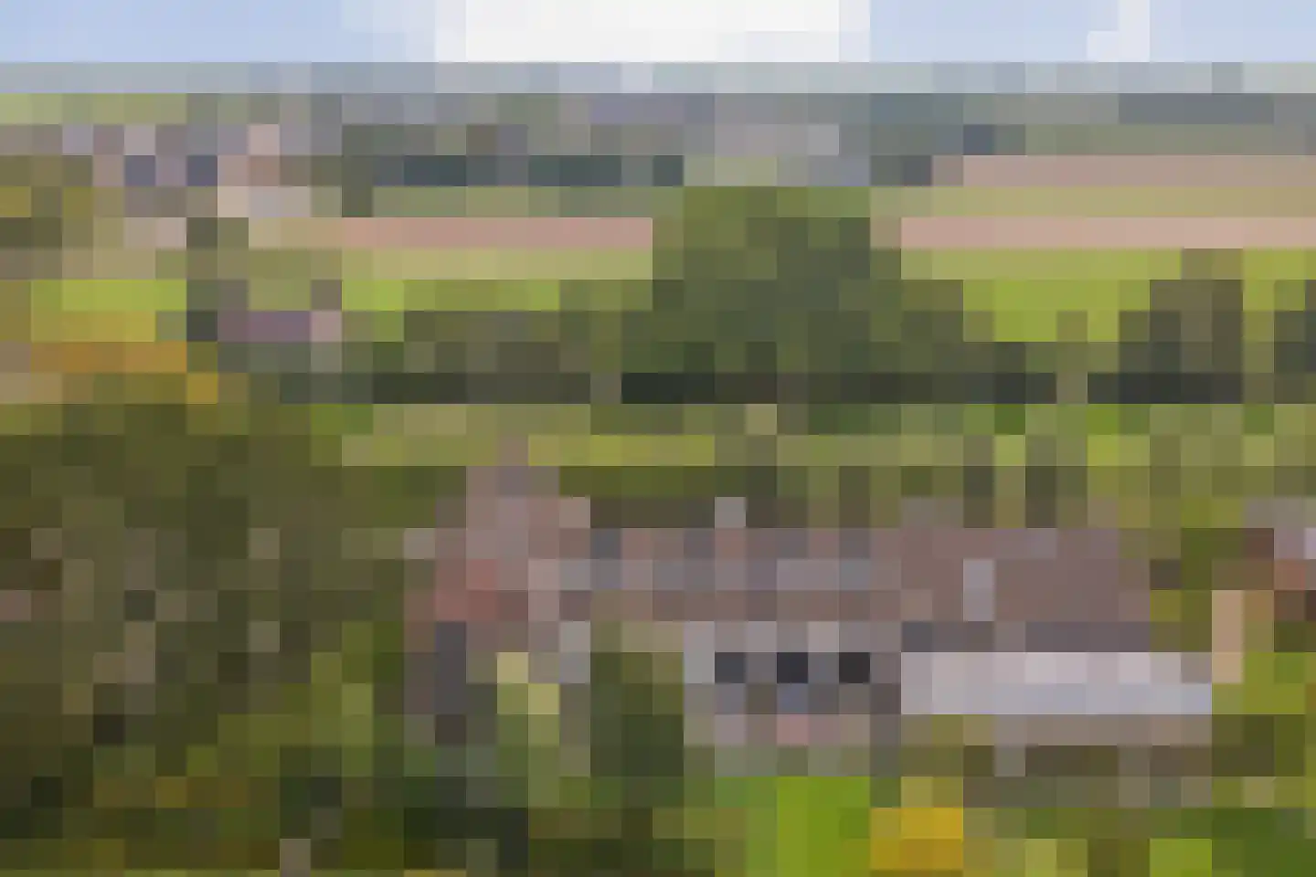 Rijndijk 5 B Hazerswoude-Rijndijk thumbnail 48