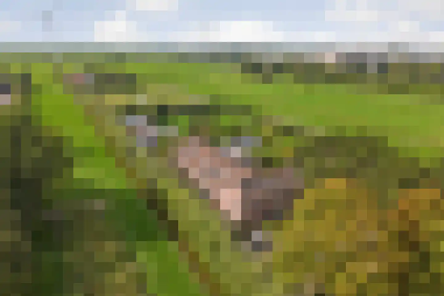 Rijndijk 5 B Hazerswoude-Rijndijk thumbnail 50