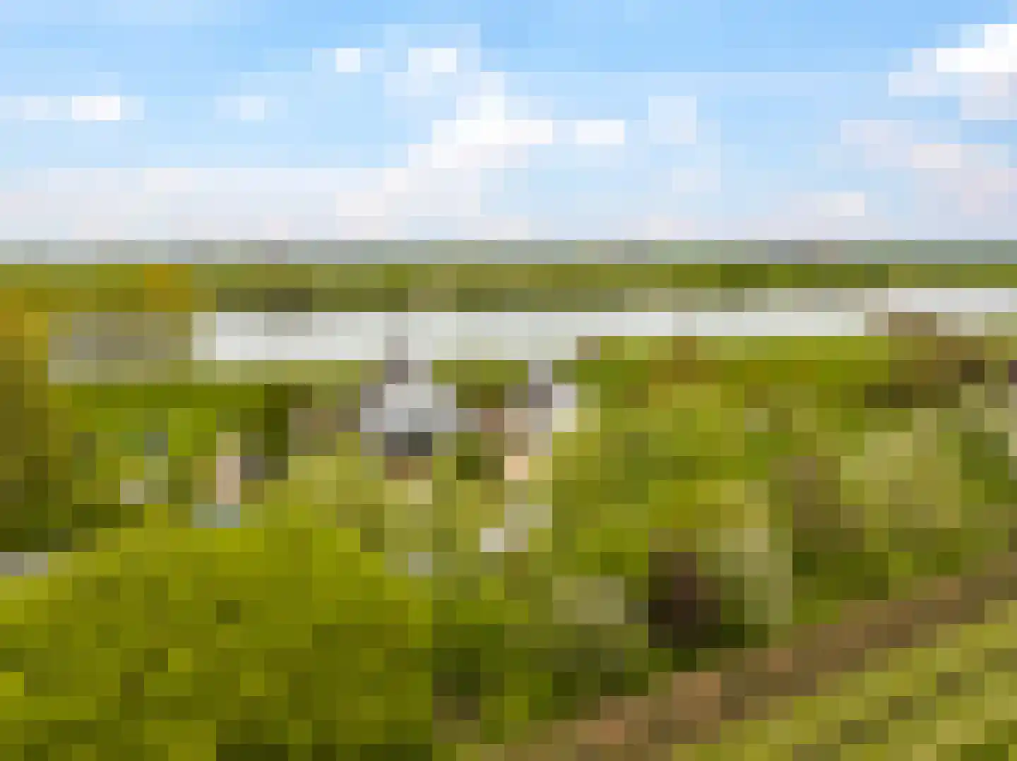 Rijndijk 59 Doornenburg
