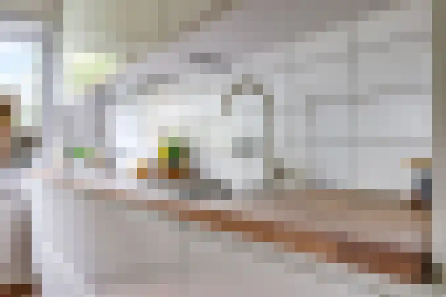 Rijndijk 59 Doornenburg thumbnail 32