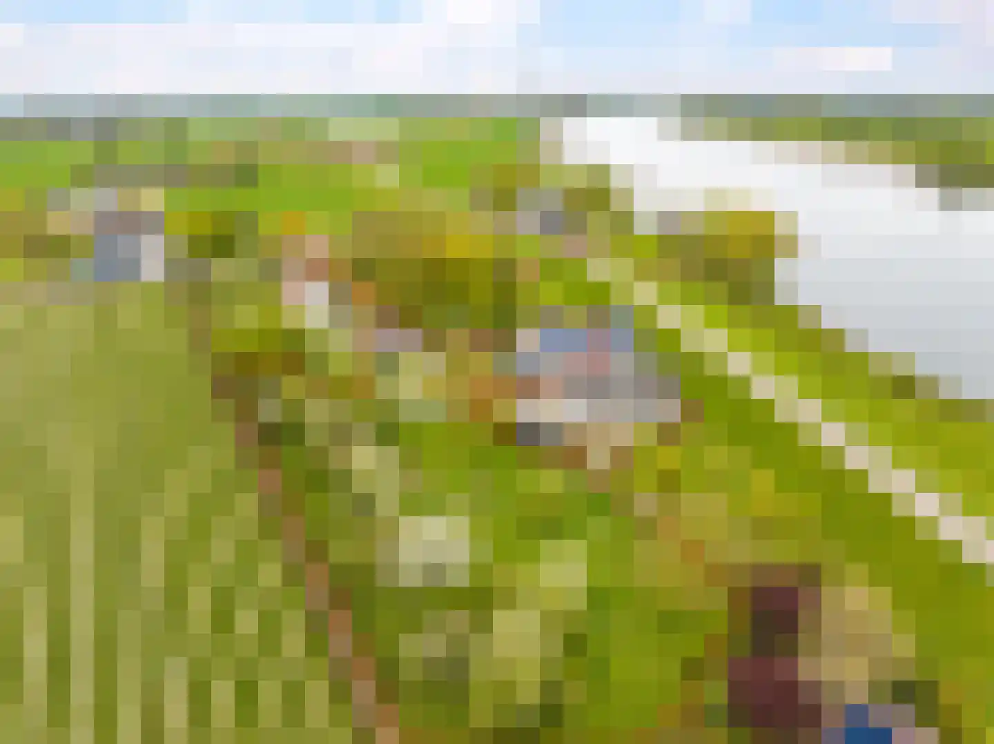 Rijndijk 59 Doornenburg thumbnail 4