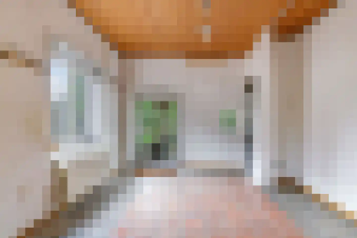 Rijndijk 59 Doornenburg thumbnail 43
