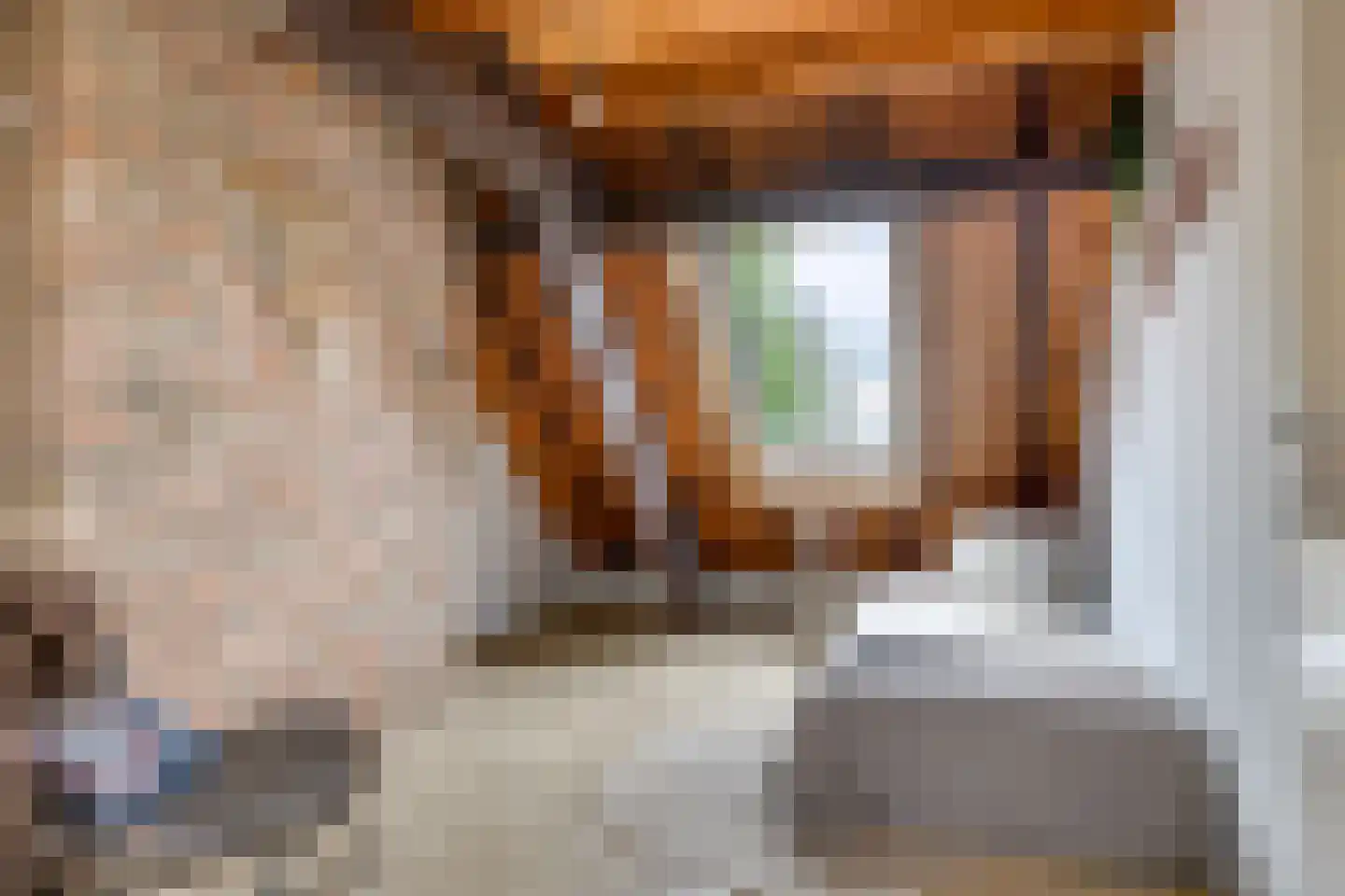 Rijndijk 59 Doornenburg thumbnail 51