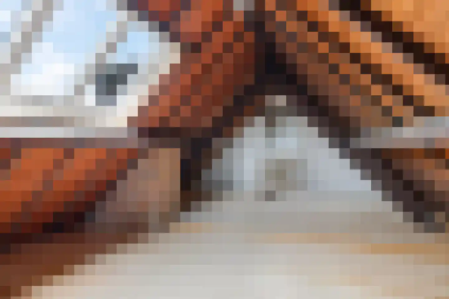 Rijndijk 59 Doornenburg thumbnail 57