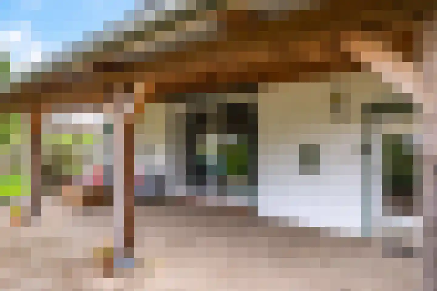 Rijndijk 59 Doornenburg thumbnail 65
