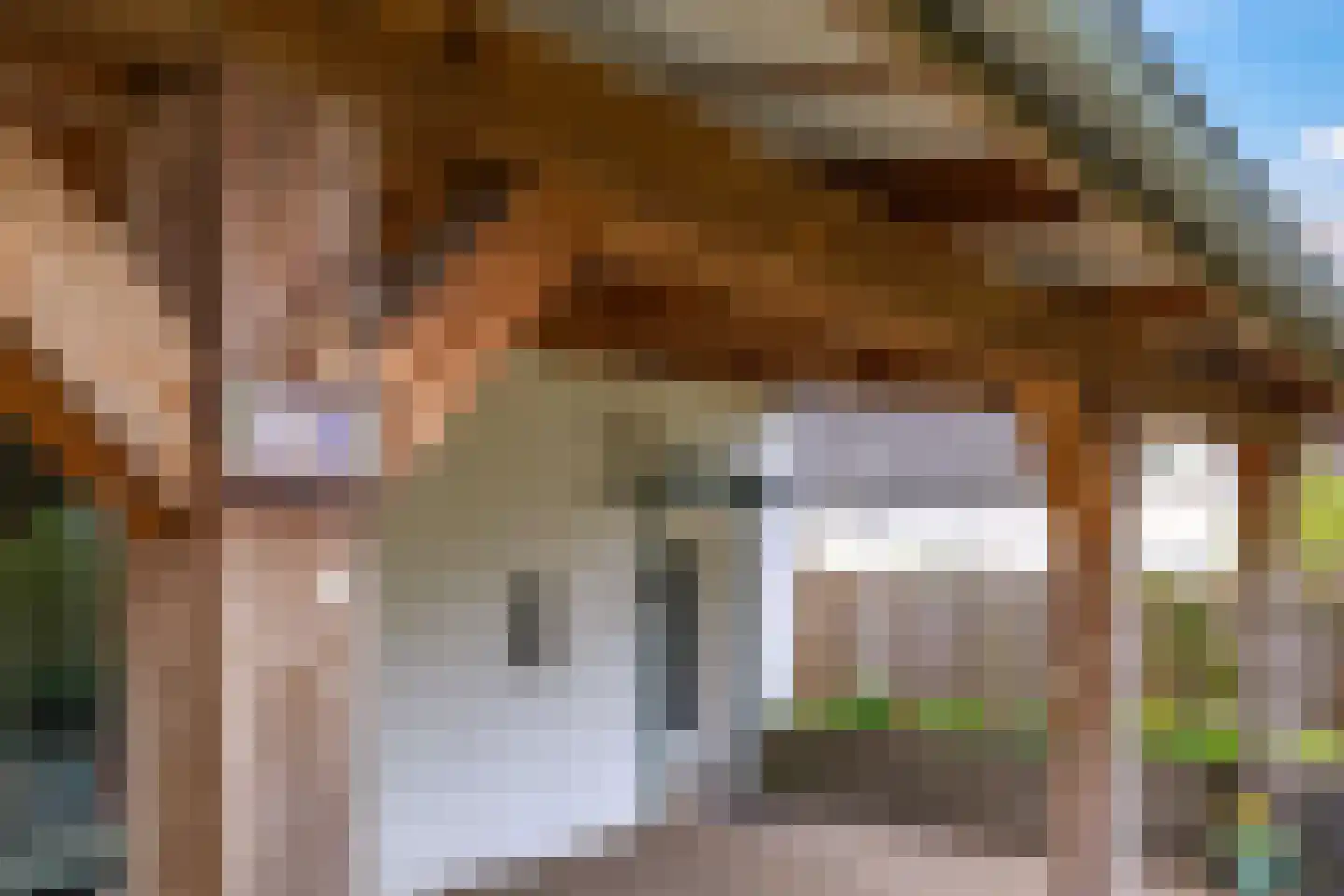 Rijndijk 59 Doornenburg thumbnail 67