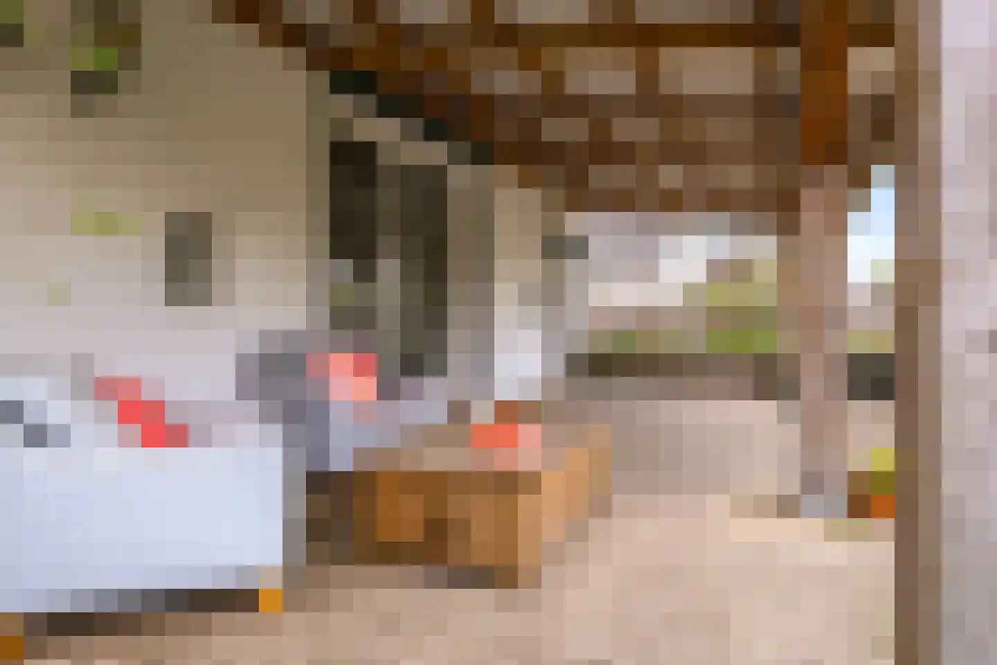 Rijndijk 59 Doornenburg thumbnail 68