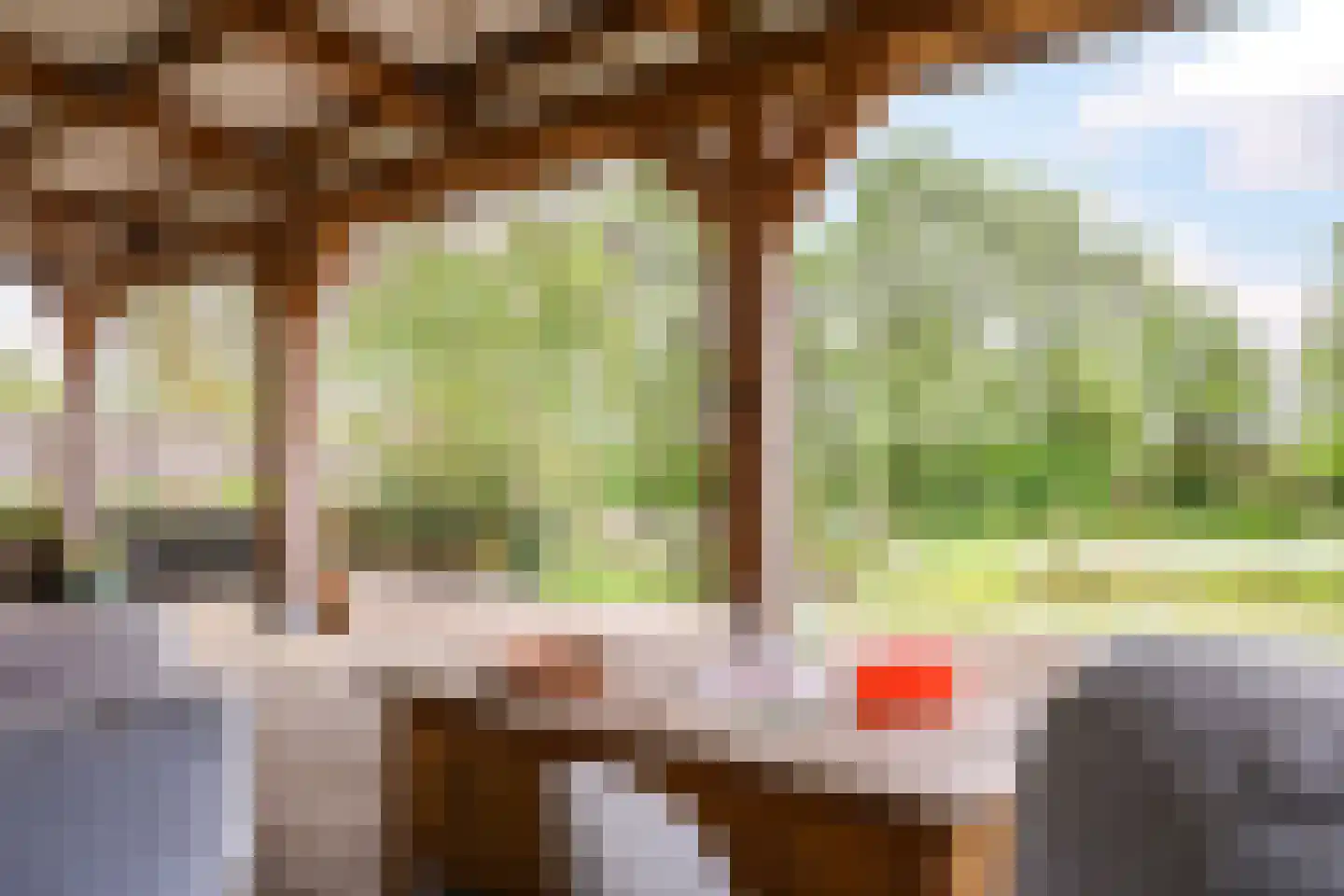 Rijndijk 59 Doornenburg thumbnail 69