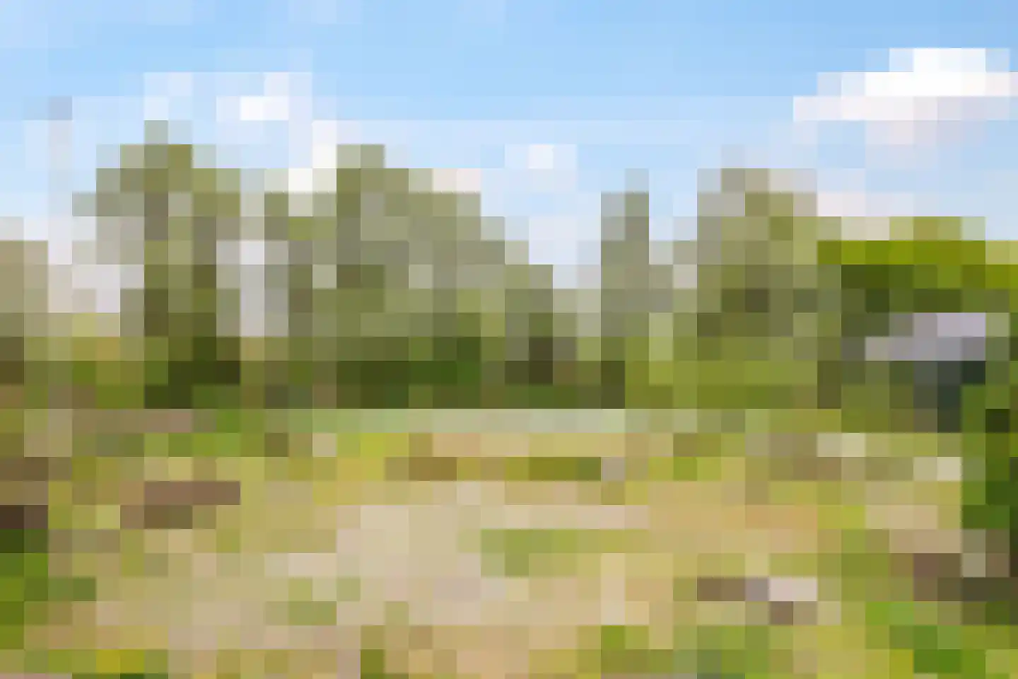 Rijndijk 59 Doornenburg thumbnail 70