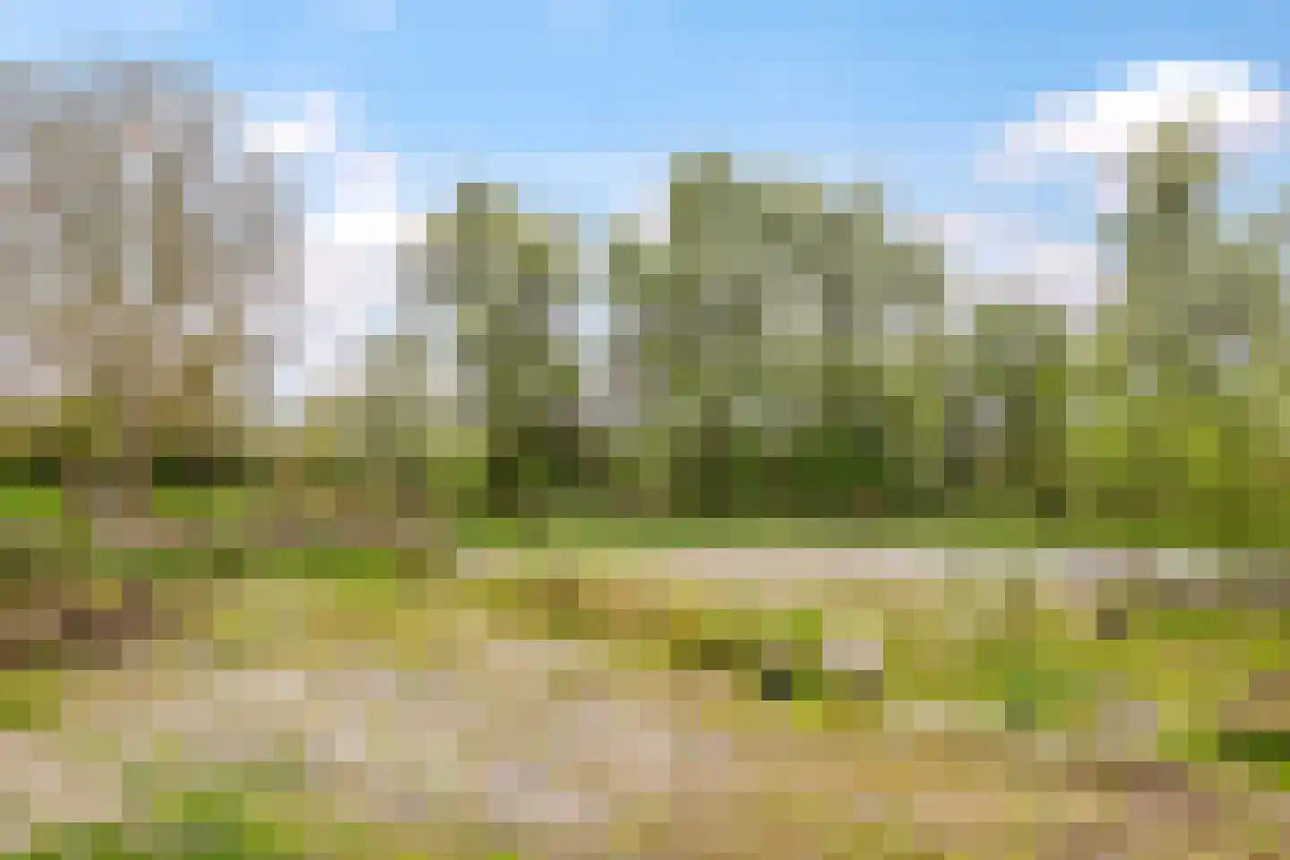 Rijndijk 59 Doornenburg thumbnail 71