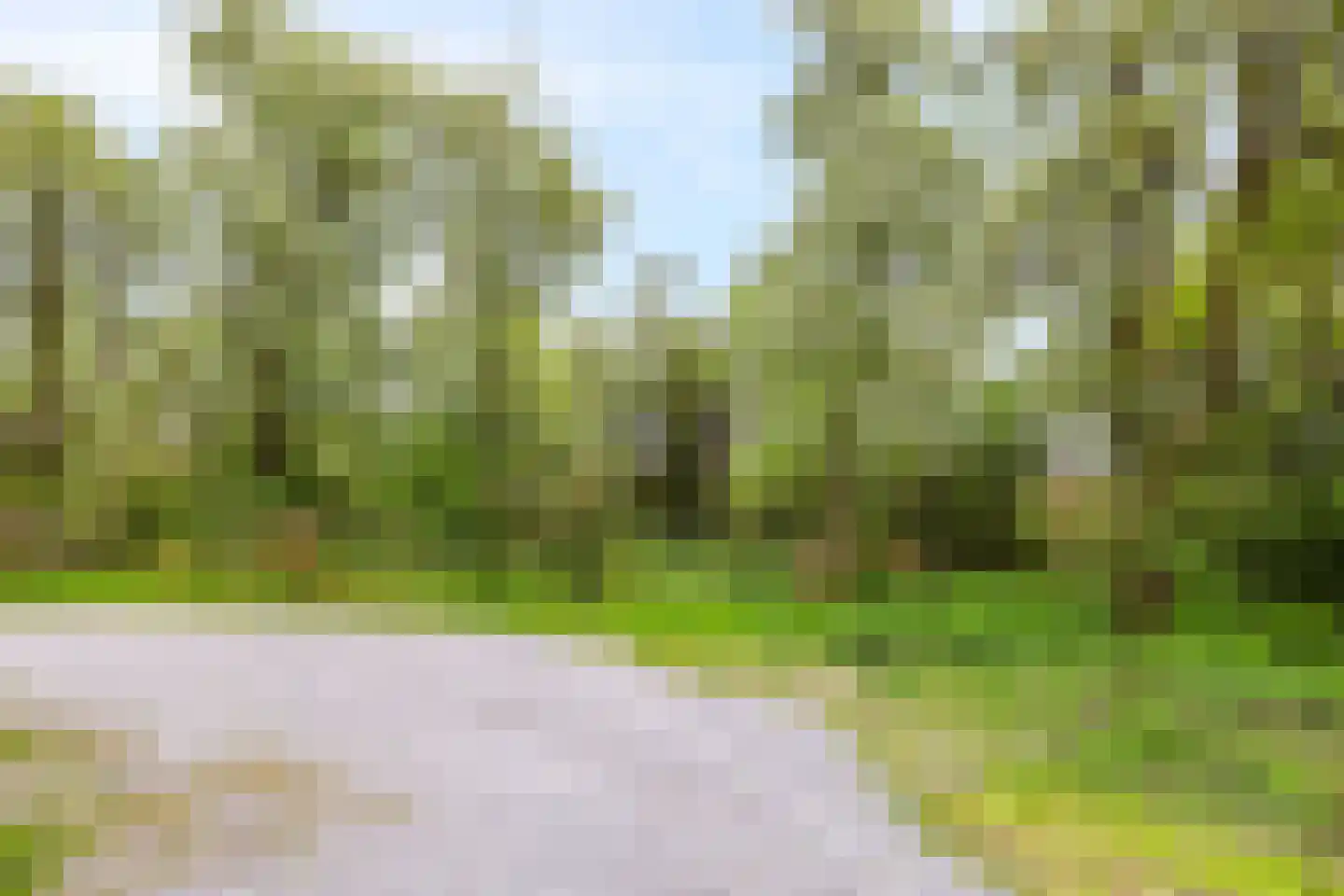 Rijndijk 59 Doornenburg thumbnail 72