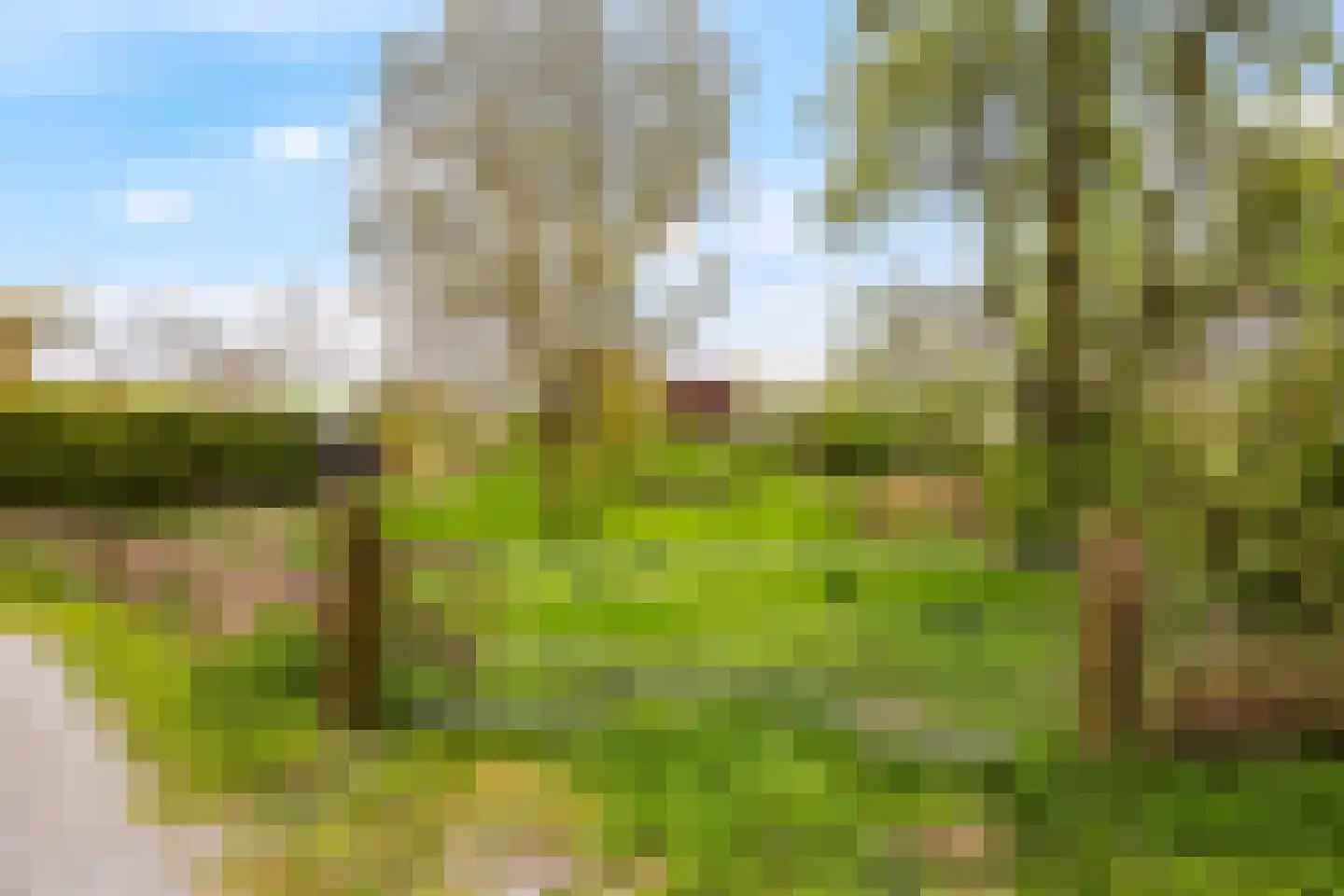 Rijndijk 59 Doornenburg thumbnail 73