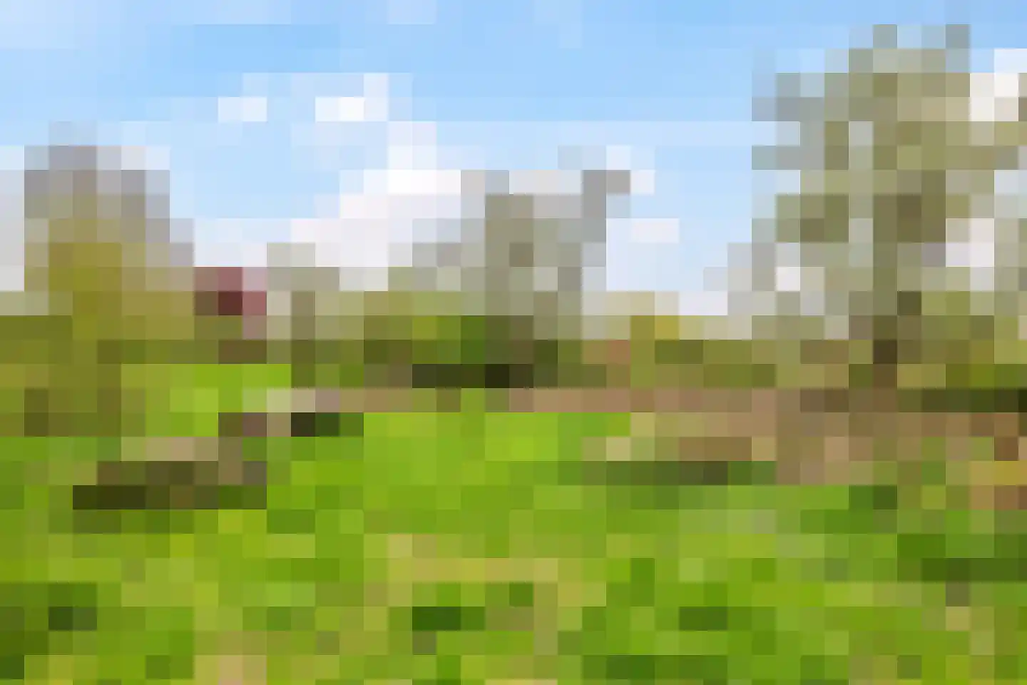 Rijndijk 59 Doornenburg thumbnail 74