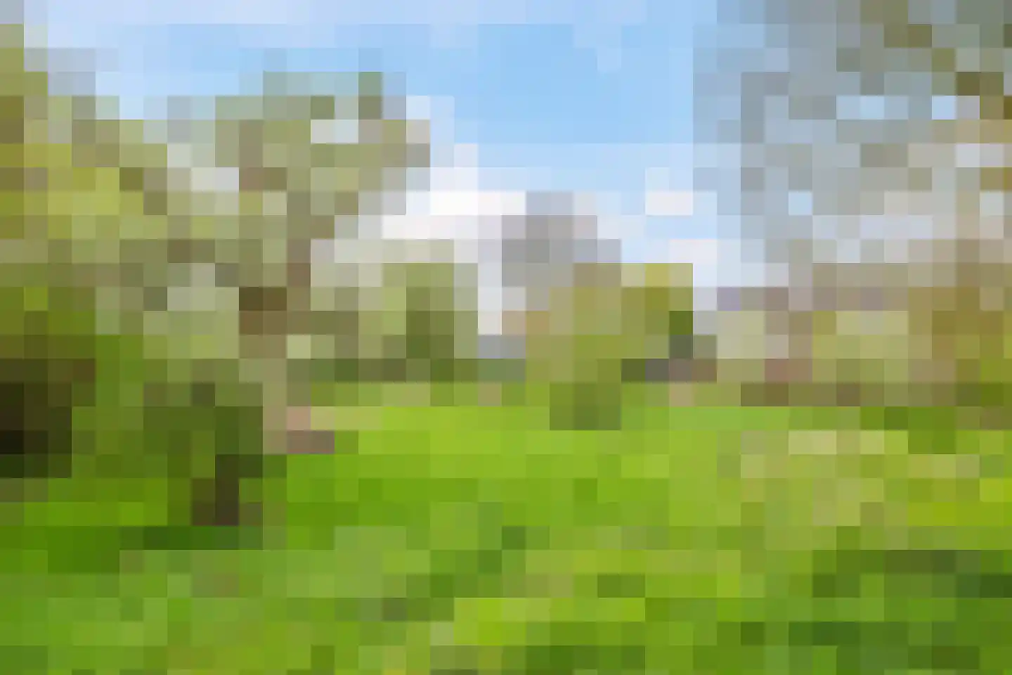 Rijndijk 59 Doornenburg thumbnail 75