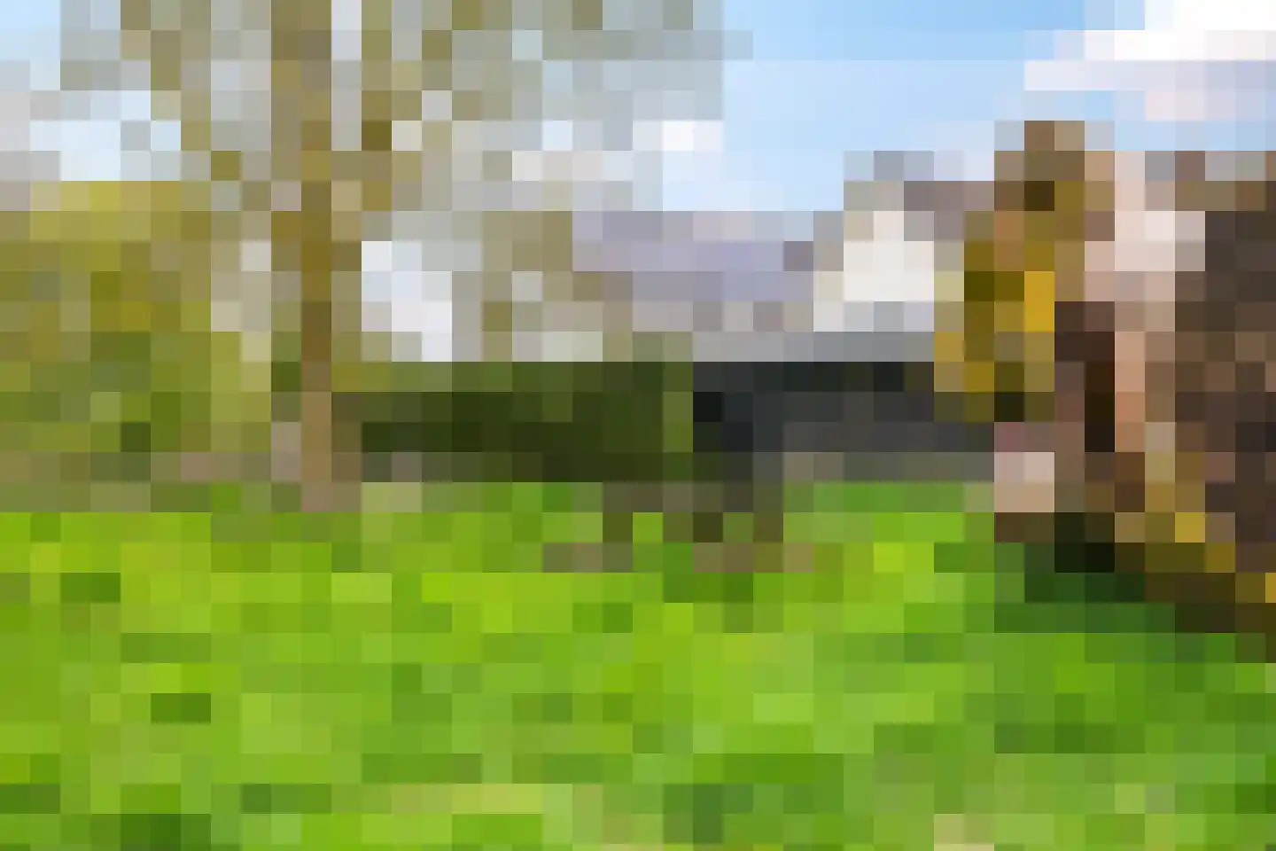 Rijndijk 59 Doornenburg thumbnail 76