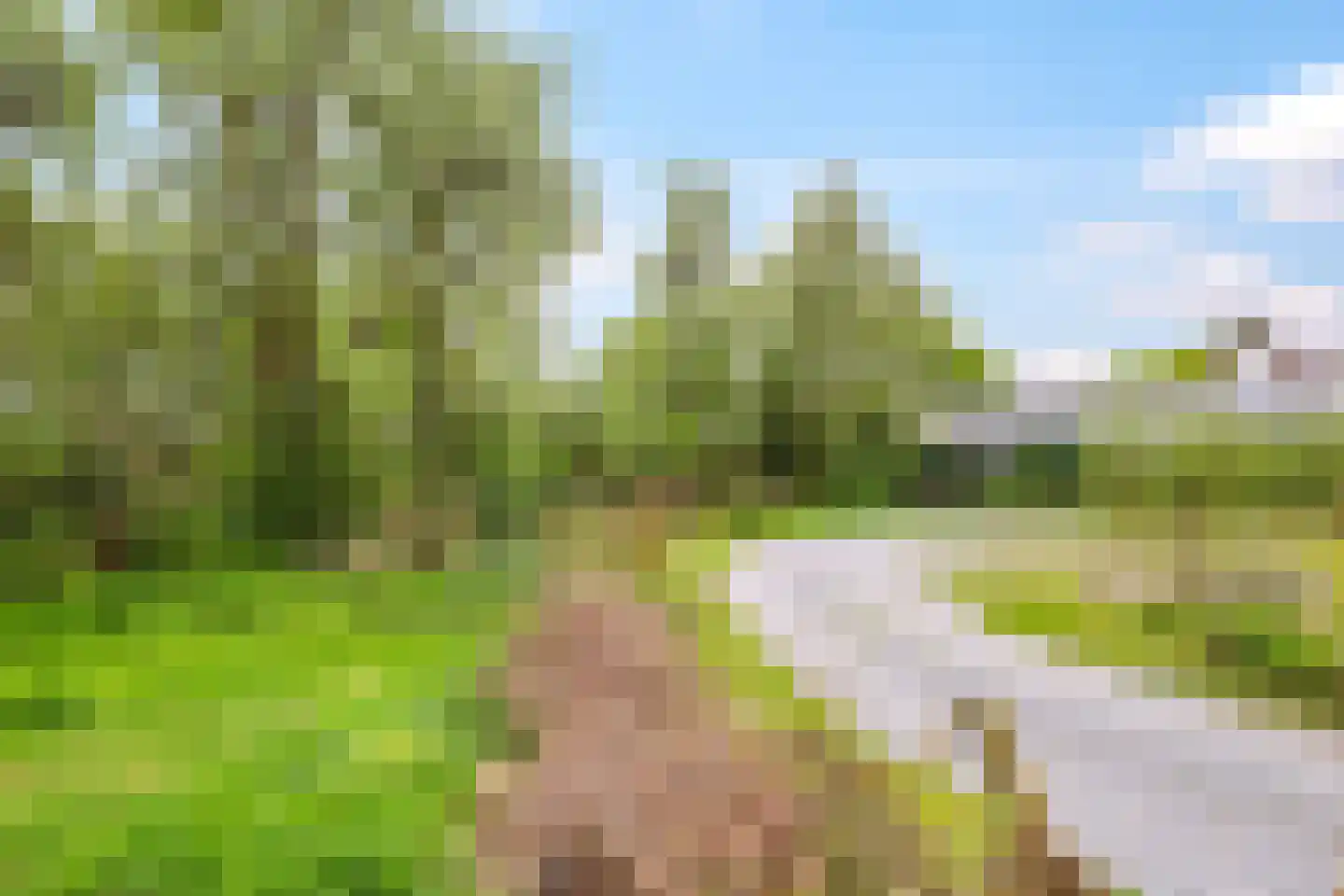 Rijndijk 59 Doornenburg thumbnail 79