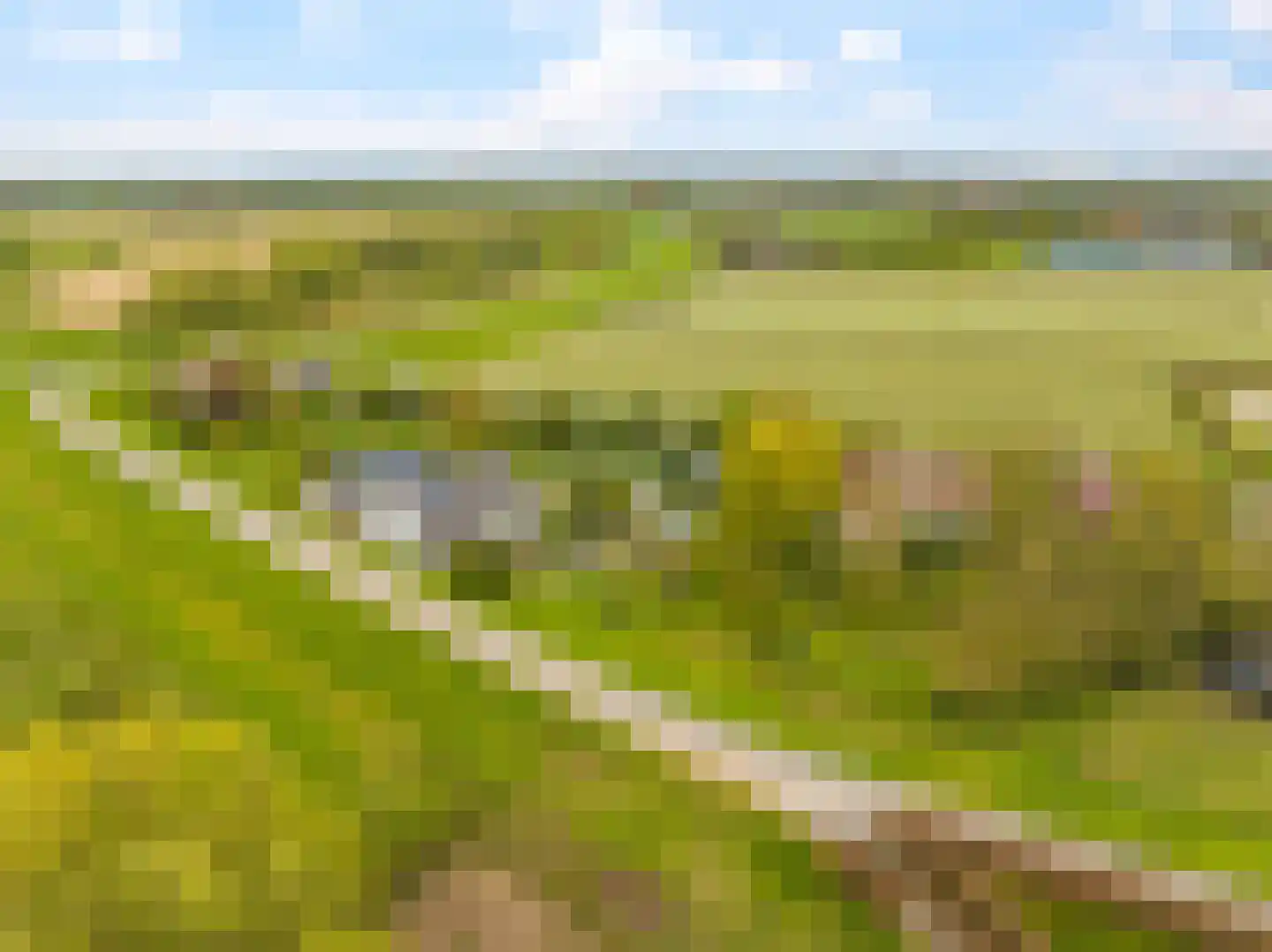 Rijndijk 59 Doornenburg thumbnail 8