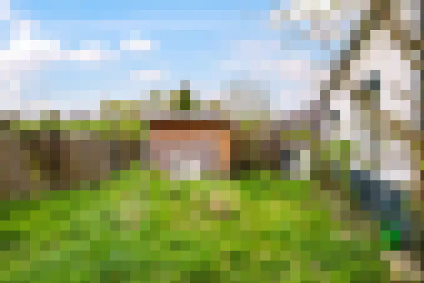 Rijndijk 59 Doornenburg thumbnail 80
