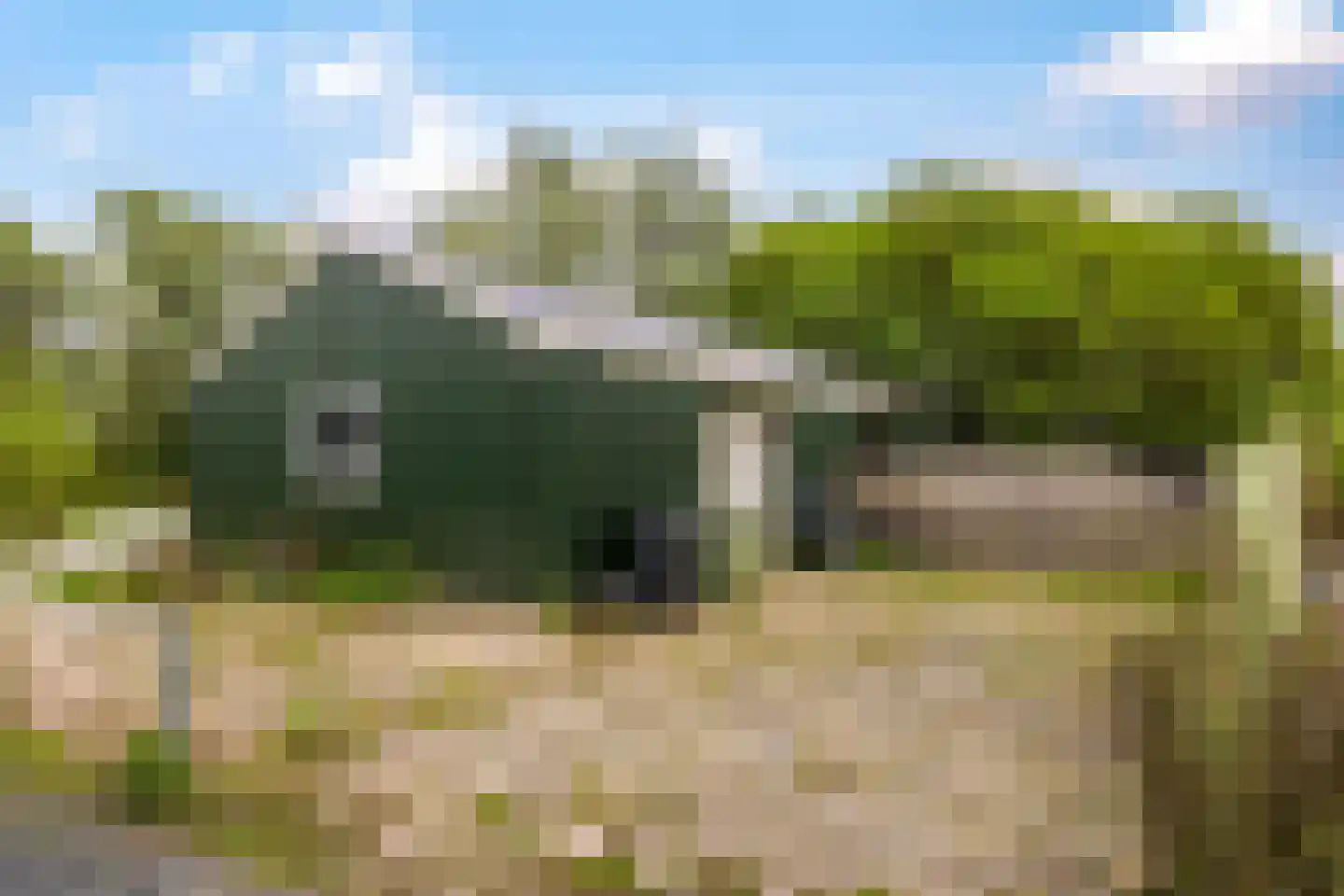 Rijndijk 59 Doornenburg thumbnail 81