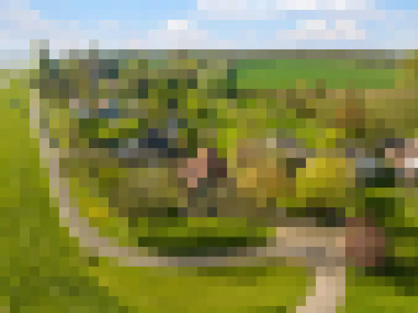 Rijndijk 9 Doornenburg thumbnail 101
