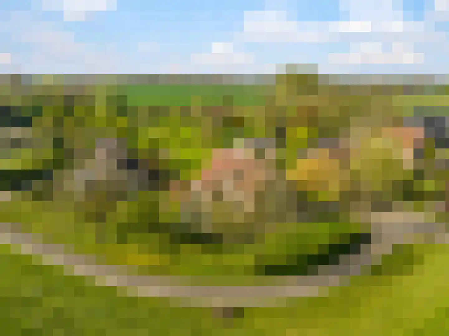 Rijndijk 9 Doornenburg thumbnail 102