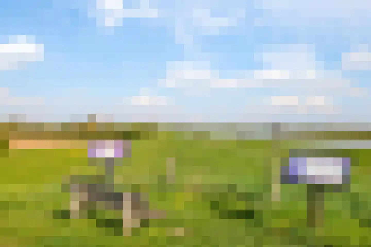 Rijndijk 9 Doornenburg thumbnail 107