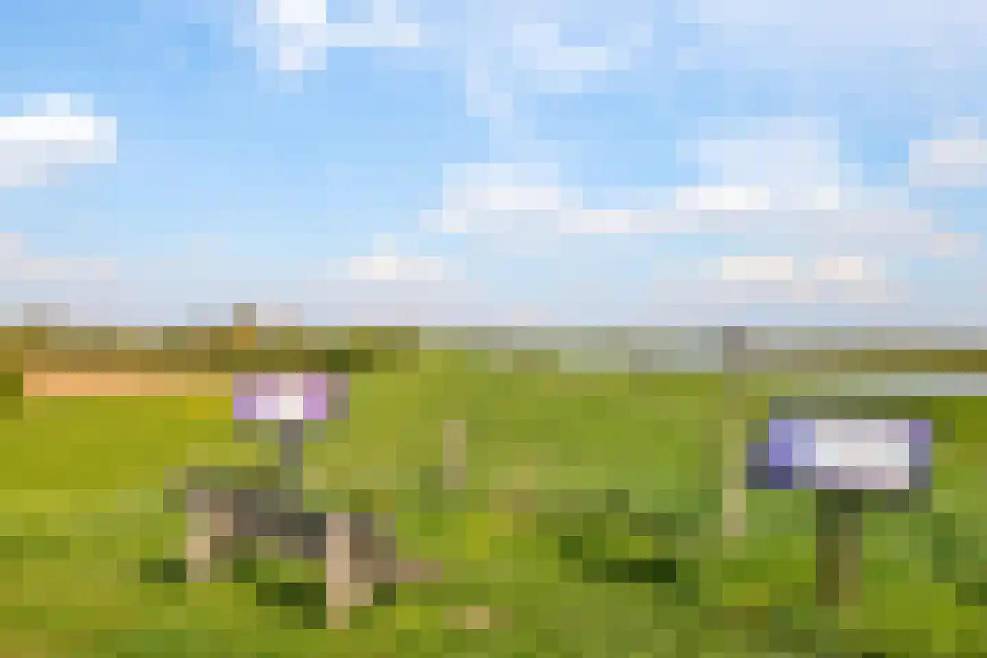 Rijndijk 9 Doornenburg thumbnail 107