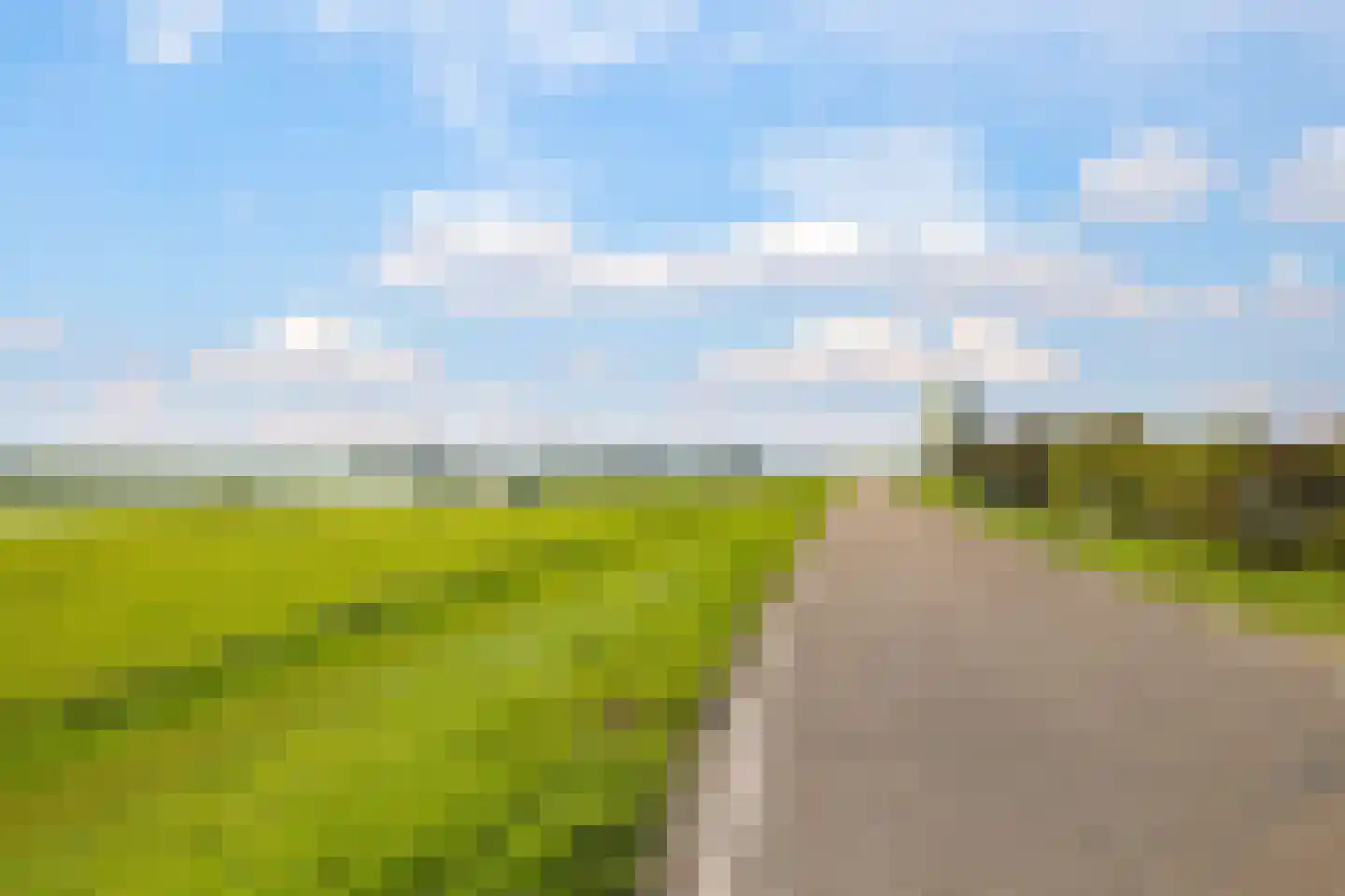 Rijndijk 9 Doornenburg thumbnail 108