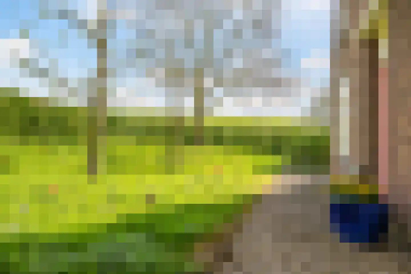 Rijndijk 9 Doornenburg thumbnail 11