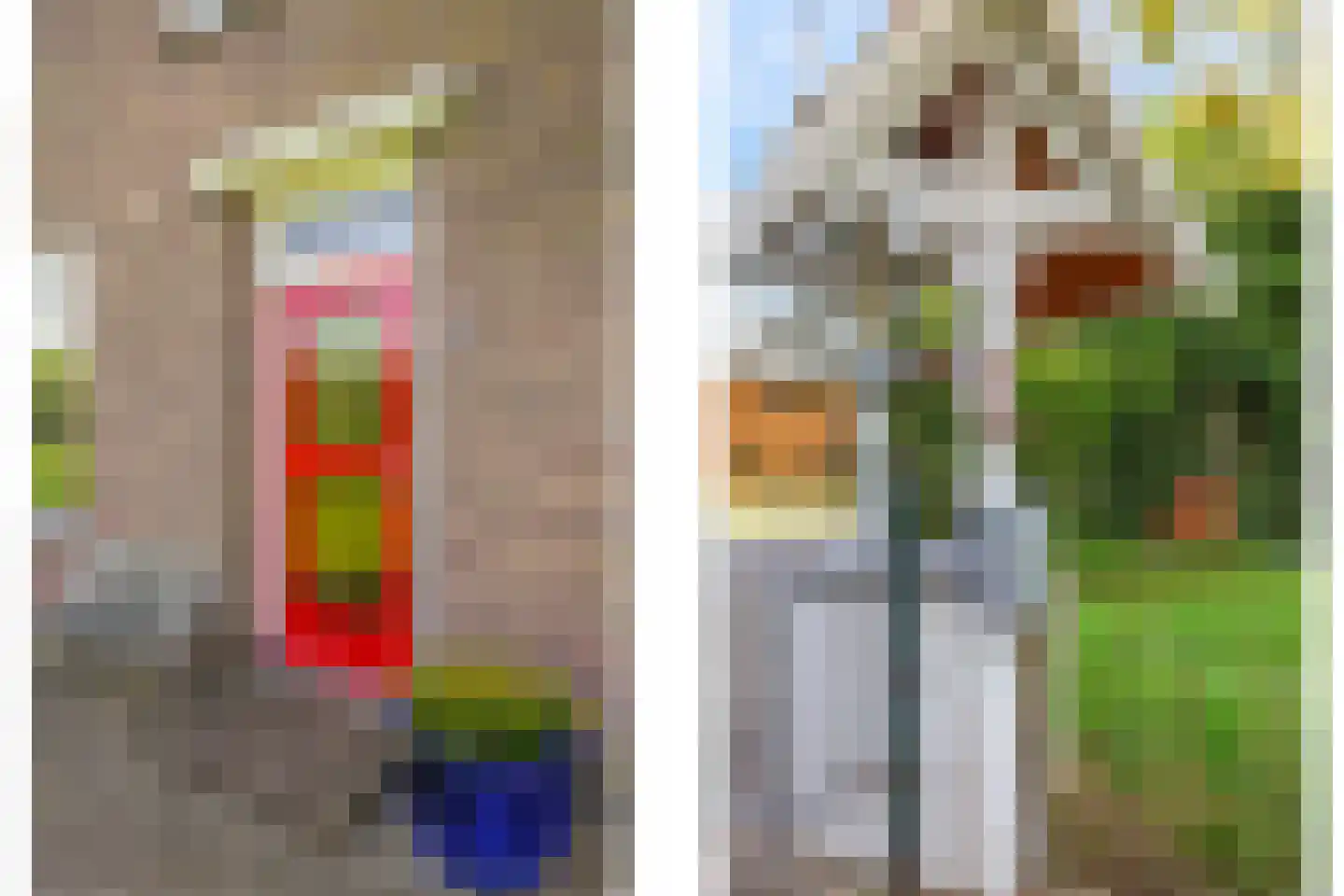 Rijndijk 9 Doornenburg thumbnail 14
