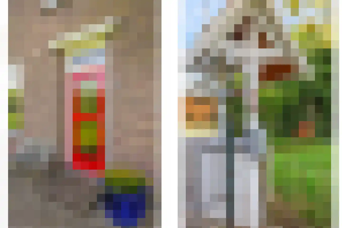 Rijndijk 9 Doornenburg thumbnail 14
