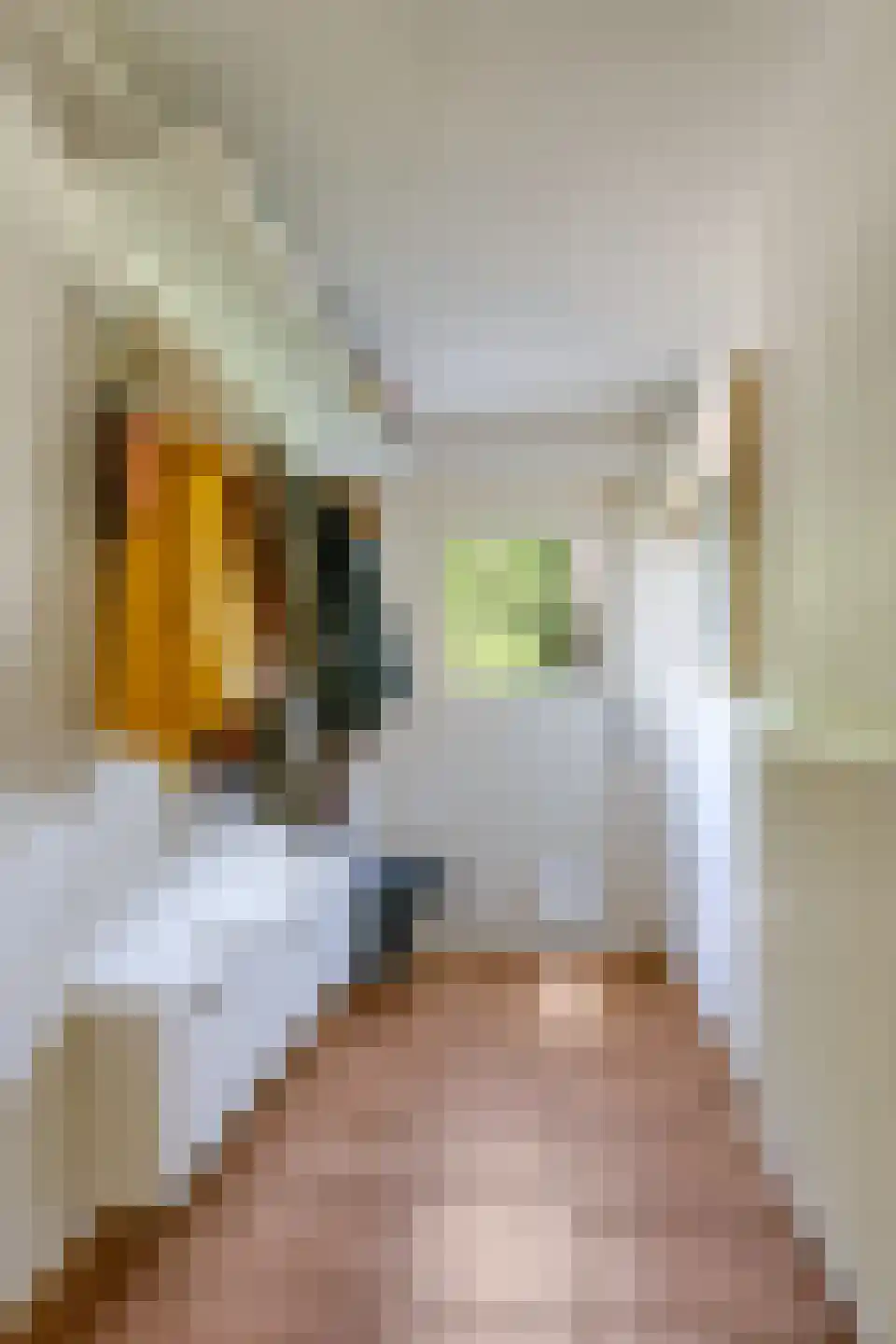 Rijndijk 9 Doornenburg thumbnail 29