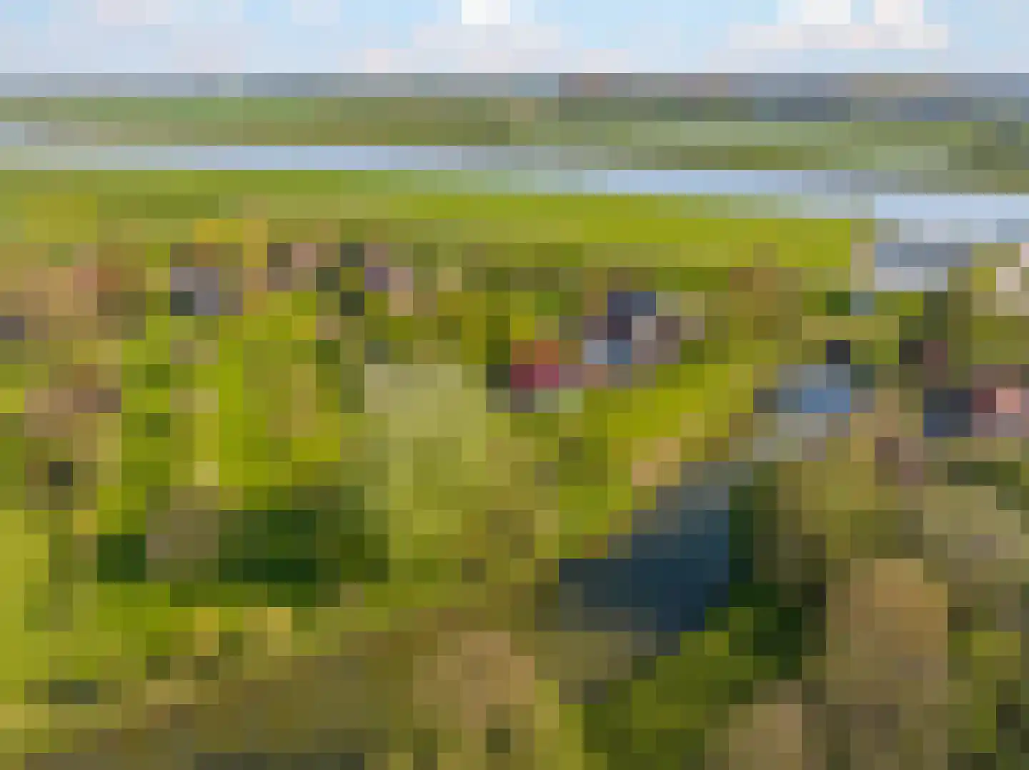 Rijndijk 9 Doornenburg foto 3