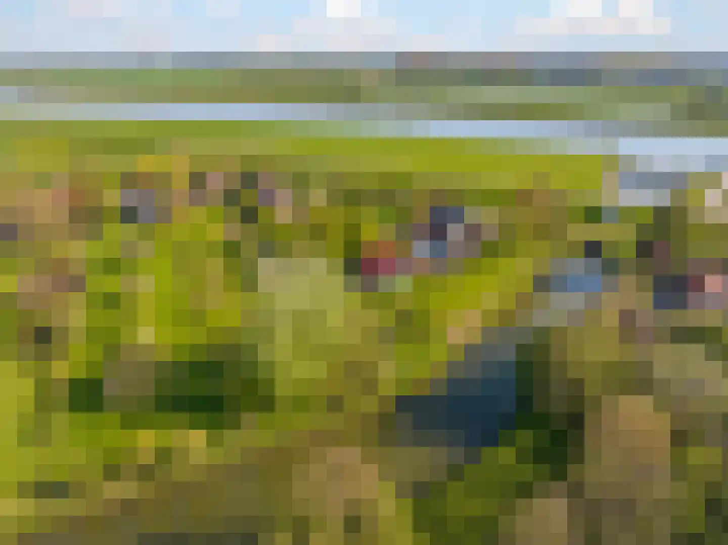 Rijndijk 9 Doornenburg foto 3