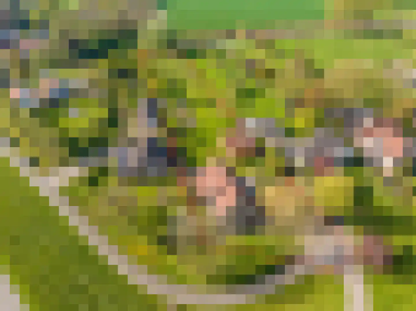 Rijndijk 9 Doornenburg thumbnail 5