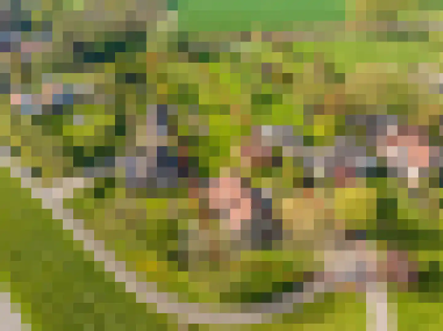 Rijndijk 9 Doornenburg thumbnail 5