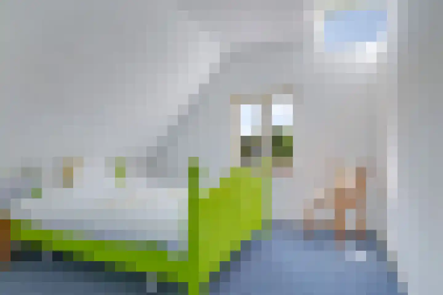Rijndijk 9 Doornenburg thumbnail 50