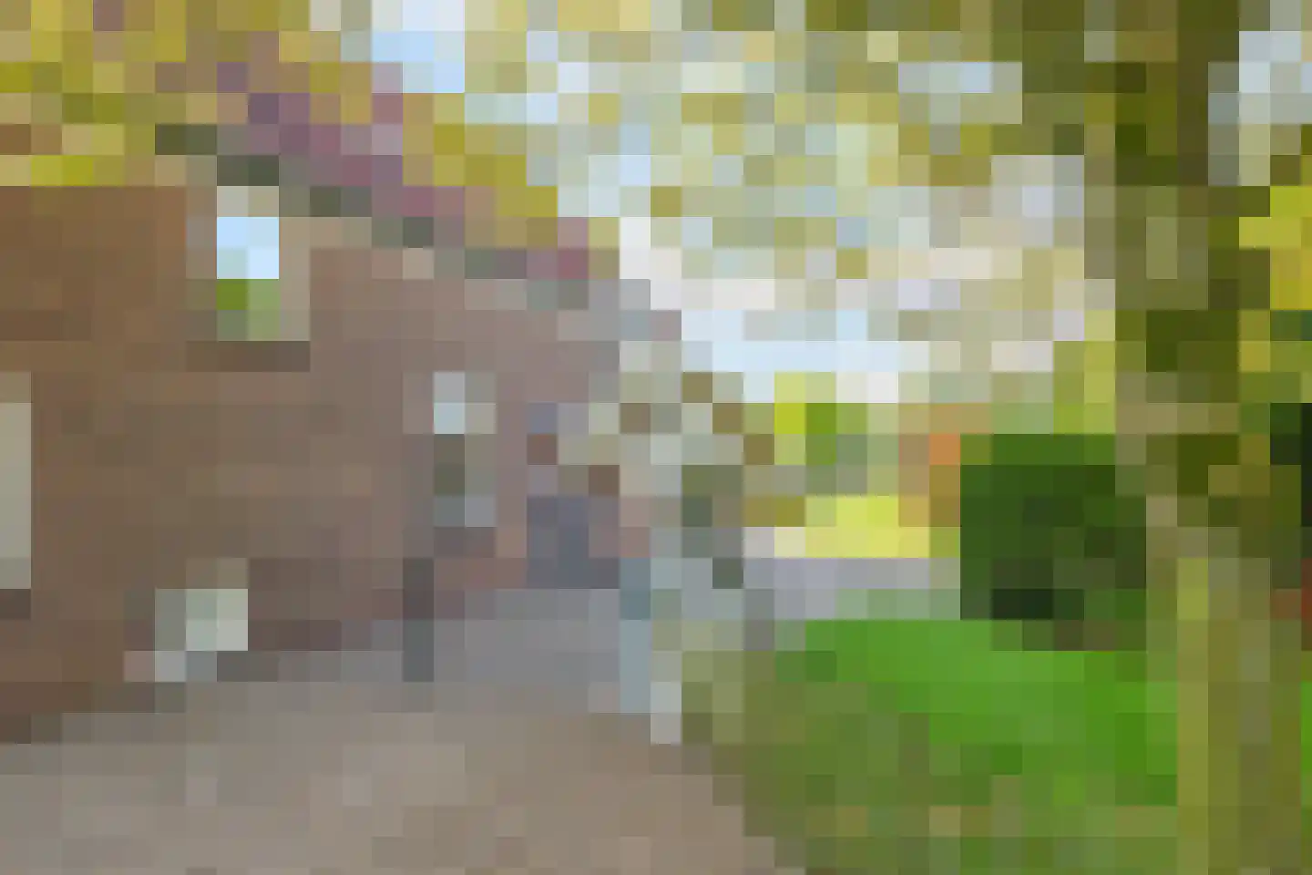 Rijndijk 9 Doornenburg thumbnail 56