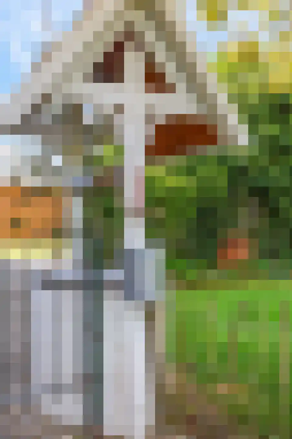 Rijndijk 9 Doornenburg thumbnail 57