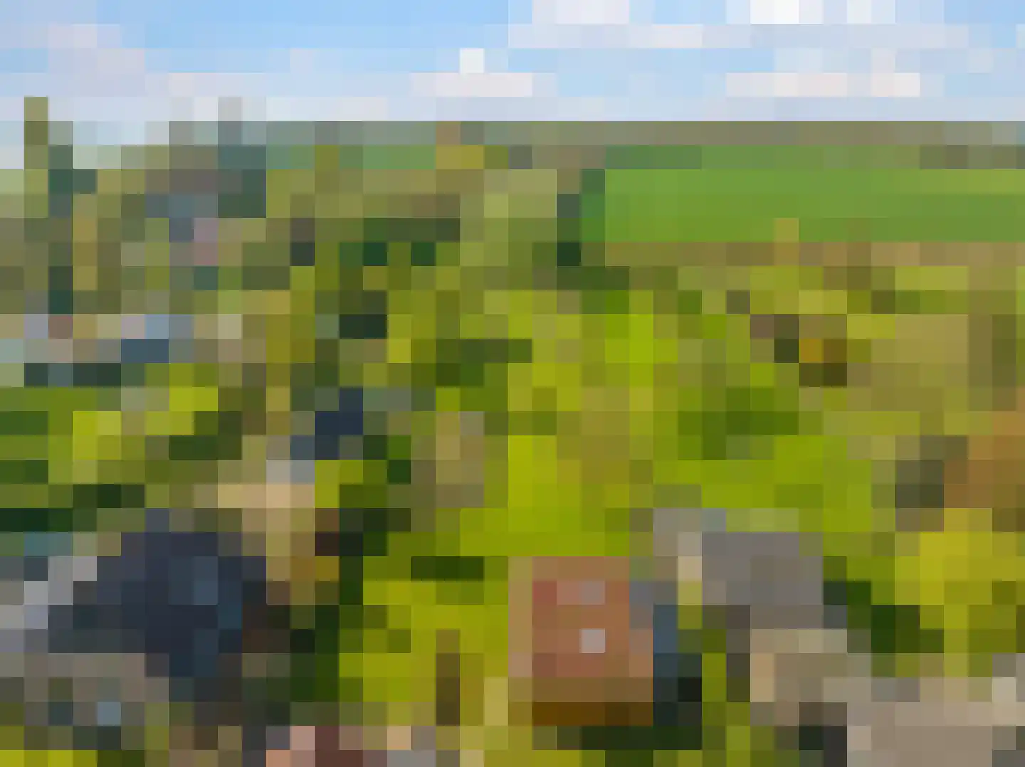 Rijndijk 9 Doornenburg thumbnail 58
