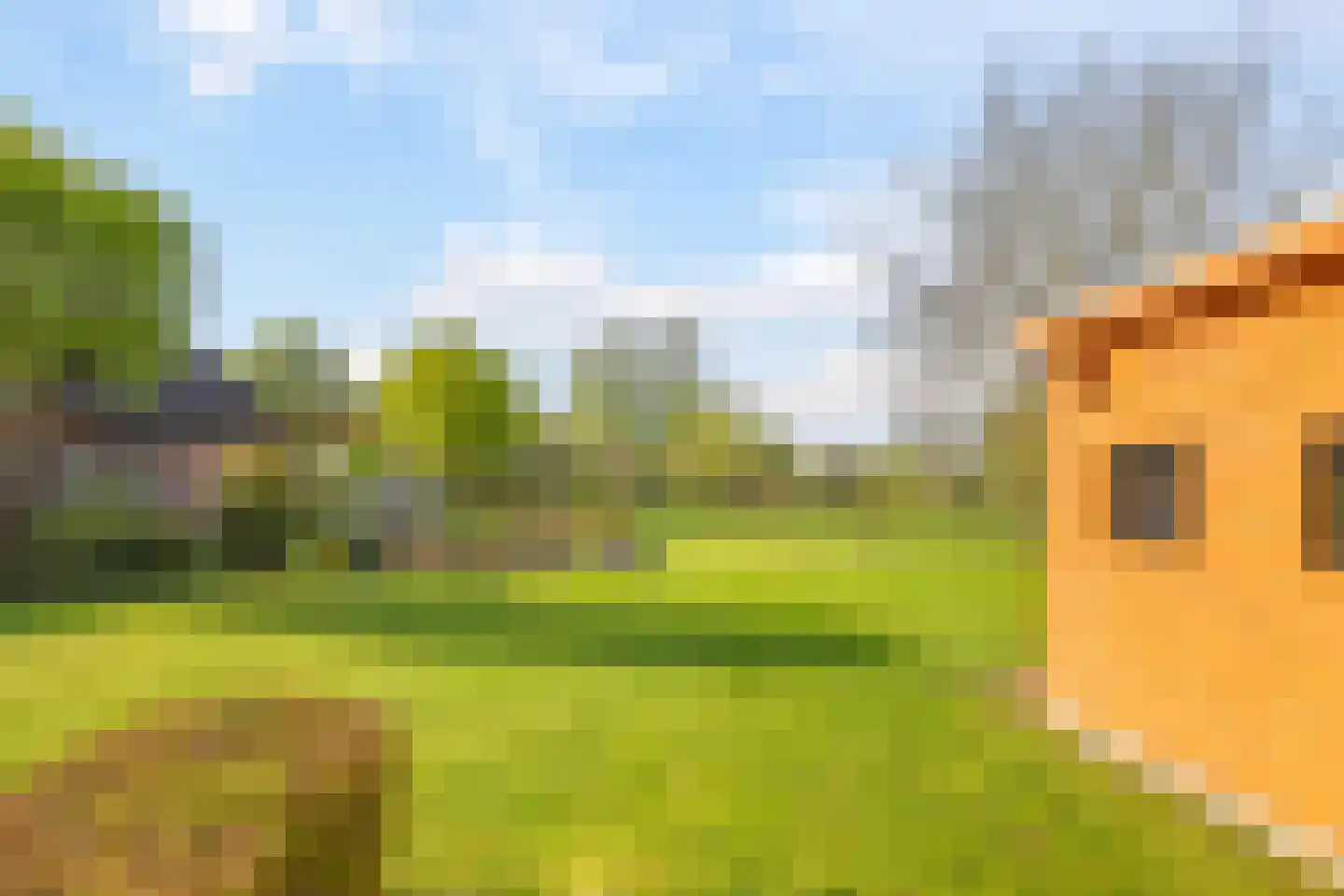 Rijndijk 9 Doornenburg thumbnail 61
